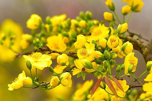 Nằm mơ thấy chồng ngoại tình đánh số mấy? Giải mã chi tiết