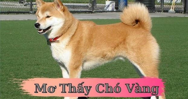 Giải Mã Giấc Mơ Thấy Cuốc Đất Và Con Số May Mắn