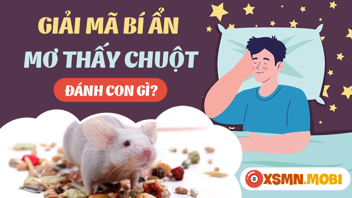 Giải mã giấc mơ chuột hamster số đề