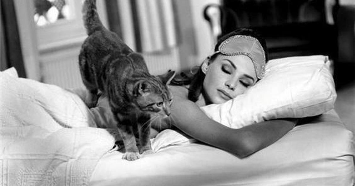 Giải Mã Giấc Mơ Thấy Chửi Thề và Số Đề Liên Quan
