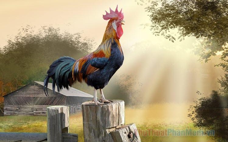 Giải Mã Giấc Mơ Thấy Ăn Ổi Chín và Số Đề Liên Quan