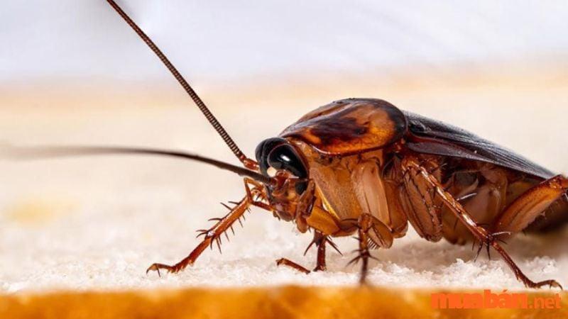 Giải Mã Giấc Mơ Thấy Rắn Bò Lên Người Và Số Đề Liên Quan