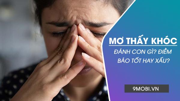 Bà Bầu Nằm Mơ Thấy Em Bé Trai: Giải Mã Số Đề