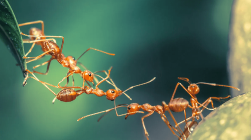 Cứ Ngủ Là Nằm Mơ: Giải Mã Bí Ẩn Đằng Sau Giấc Mơ Và Số Đề