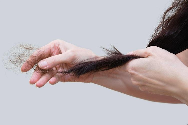 Giải Mã Giấc Mơ Thấy Rùa Và Ba Ba