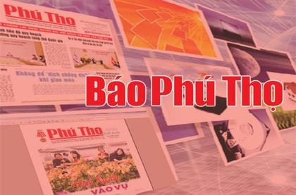 Giải Mã Giấc Mơ Thấy Lợn: Điềm Báo &amp; Con Số May Mắn