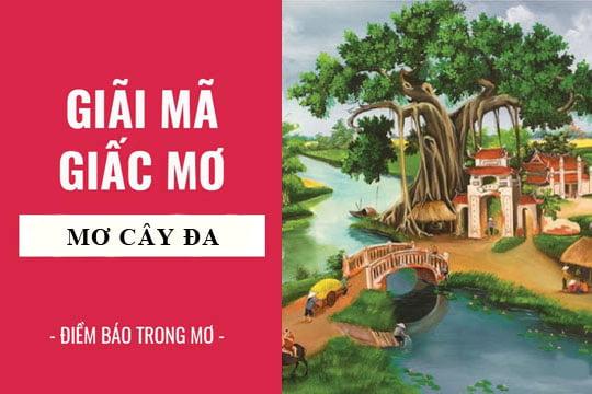 Giải Mã Giấc Mơ Thấy Chó Cắn Con Rắn