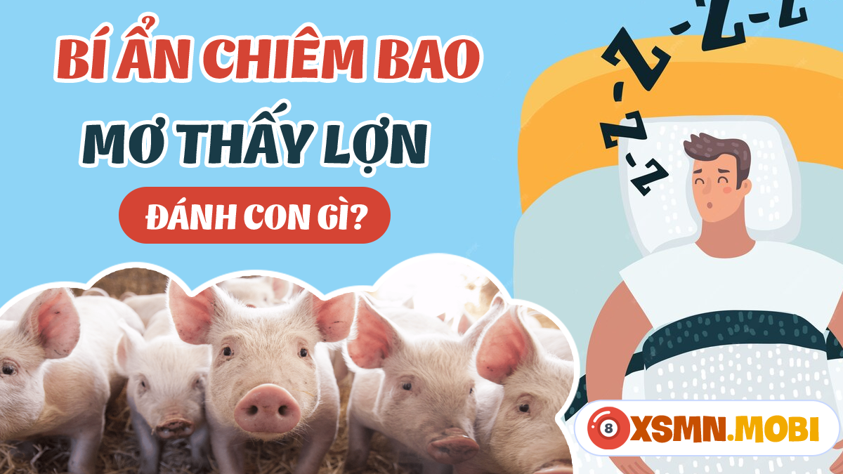 Giải Mã Giấc Mơ Thấy Bạn Học Cũ Thích Mình Và Con Số May Mắn