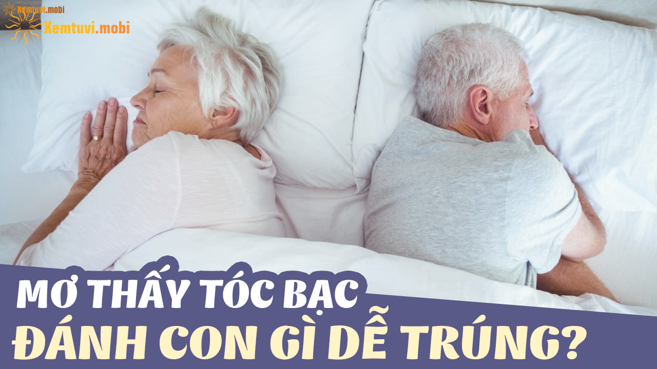 Giải mã giấc mơ thấy tóc bạc và những con số liên quan đến đánh đề