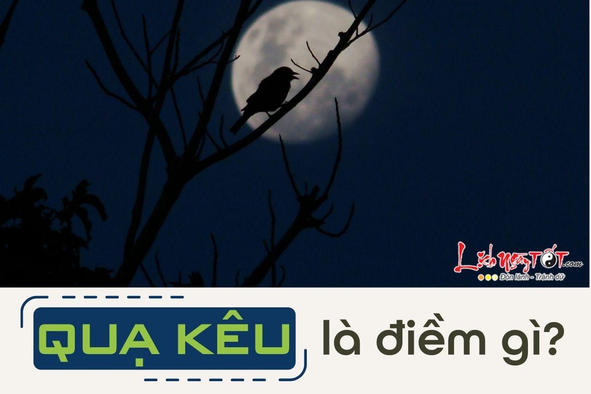 Giải mã giấc mơ tiếng quạ kêu số đề