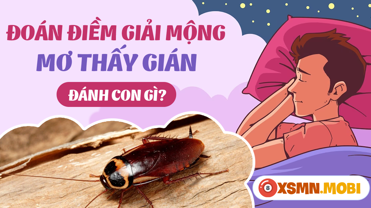 Giải Mã Giấc Mơ Thấy Mèo Chết Đánh Con Gì?