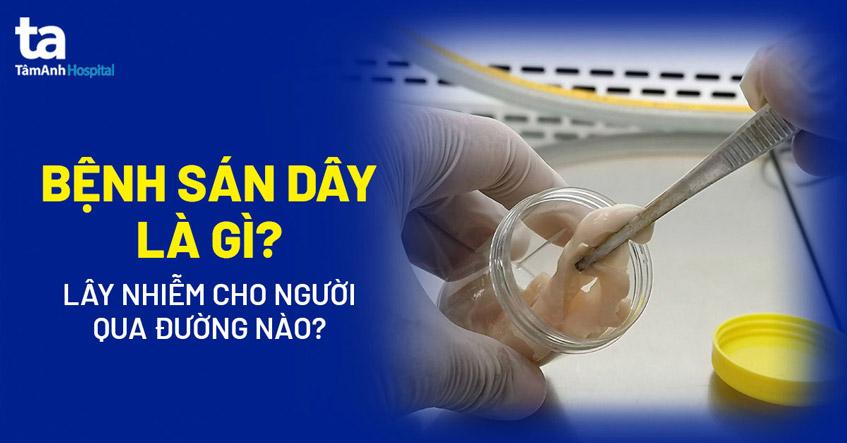 Giun sán bò ra từ cơ thể