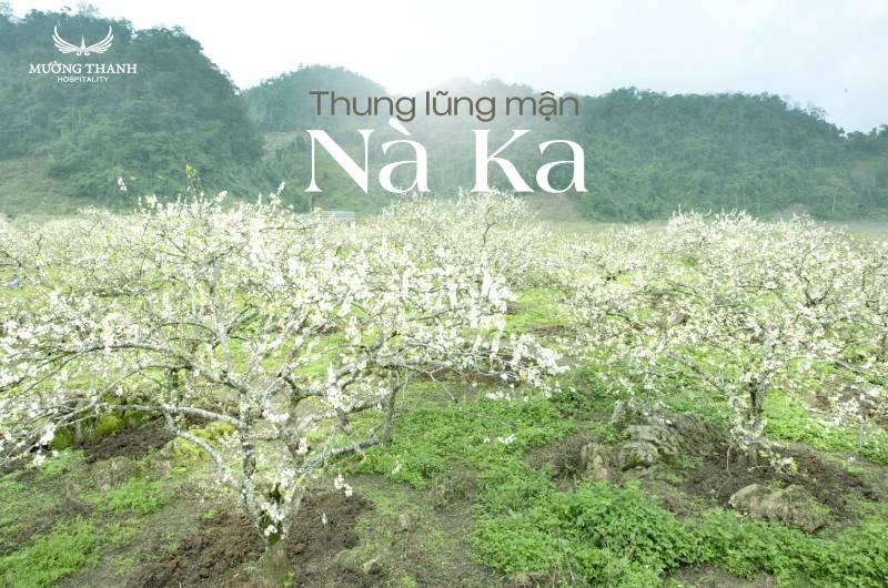 Giải Mã Giấc Mơ Thấy Bão Biển Và Những Con Số Liên Quan
