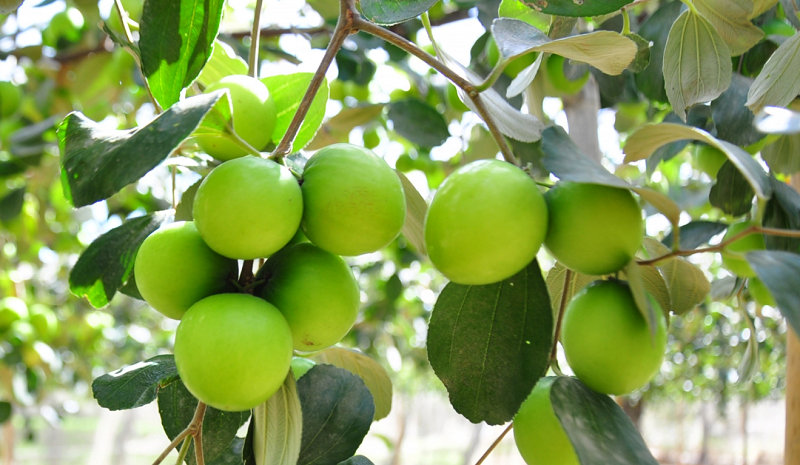 Nằm Mơ Thấy Bay Lên Trời Đánh Số Gì?