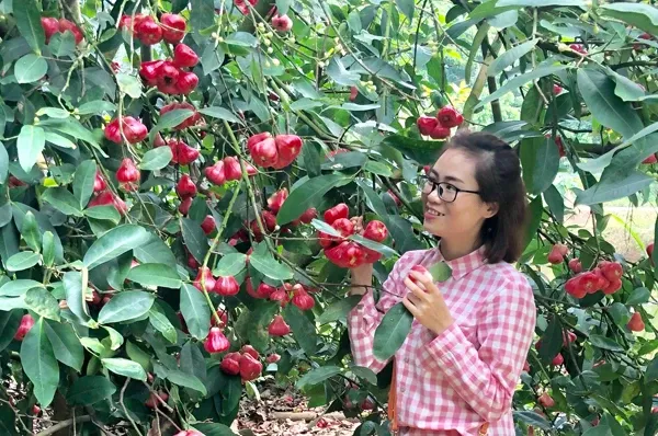 Nằm Mơ Thấy Mưa Dột Vào Nhà Đánh Đề Con Gì?