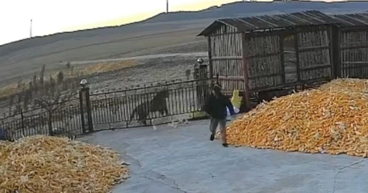 Nằm Mơ Thấy Lươn Chết Đánh Con Gì? Giải Mã Bí Ẩn