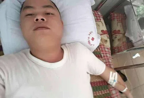 Giải Mã Giấc Mơ Thấy Chó Con Mới Đẻ