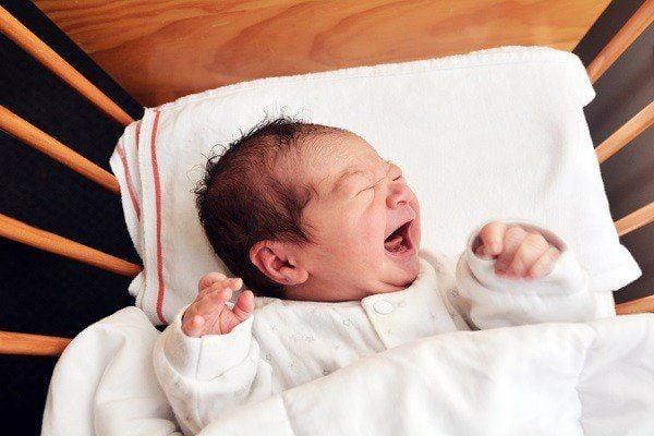 Giải Mã Giấc Mơ Thấy Rắn Cắn