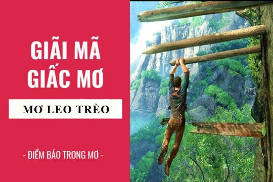 Giải Mã Giấc Mơ Thấy Chó Cắn Con Rắn