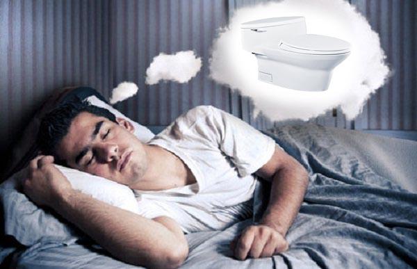 Lời khuyên giải mã giấc mơ chuồng xí