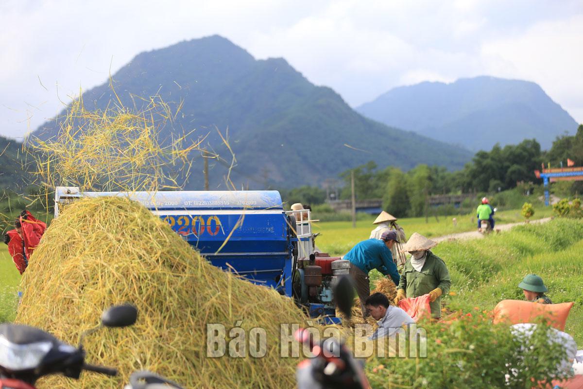 Giải Mã Giấc Mơ Thấy Con Ếch và Số Đề Liên Quan