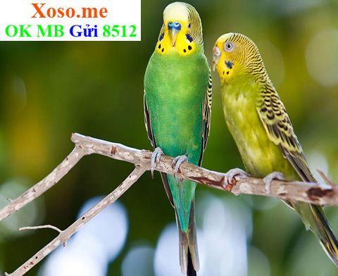 Nằm mơ thấy khóc là điềm gì? Giải mã giấc mơ khóc và số đề