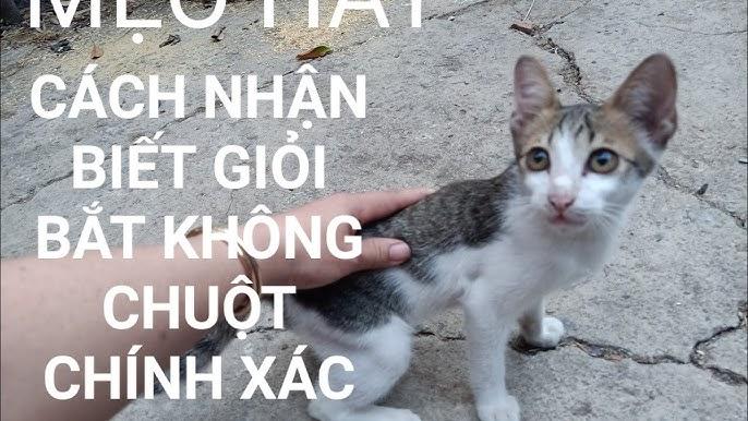 Giải Mã Giấc Mơ Thấy Hôn Thầy Giáo Và Con Số May Mắn