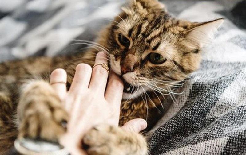 Nằm mơ thấy ma là điềm gì? Giải mã giấc mơ thấy ma