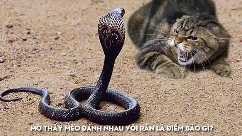 Giải Mã Giấc Mơ Thấy Cá Trắm Đen Và Con Số May Mắn