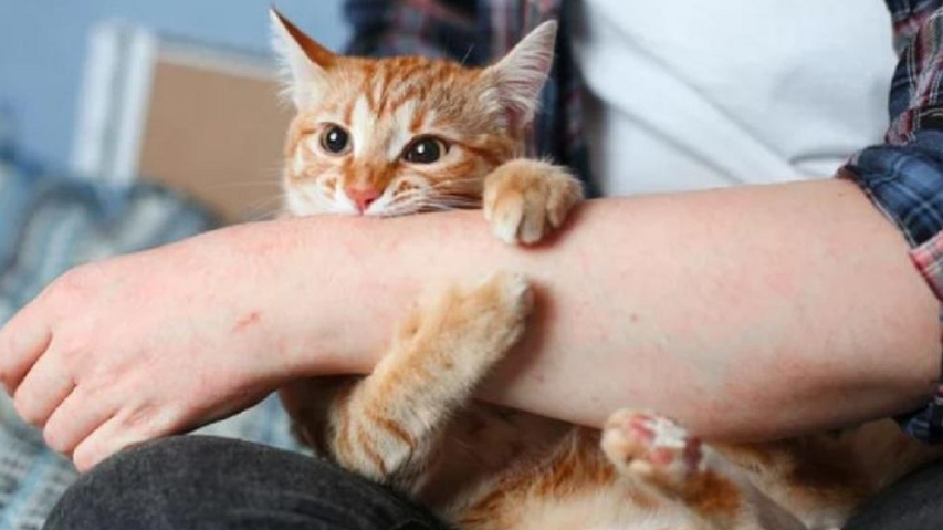 Giải Mã Giấc Mơ Thấy Em Bé Trai Sơ Sinh