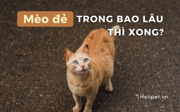 Giải Mã Giấc Mơ Thấy Dỡ Nhà
