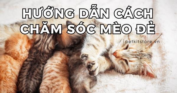 Giải Mã Giấc Mơ Thấy Mặt Bị Nằm: Điềm Báo Và Con Số May Mắn