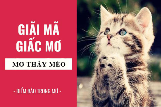 Nằm mơ thấy cá đen là điềm gì? Giải mã giấc mơ lô đề