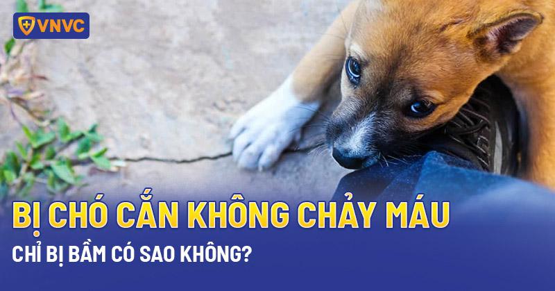 Nằm Mơ Thấy Đầu Trọc Đánh Số Gì? Giải Mã Bí Ẩn