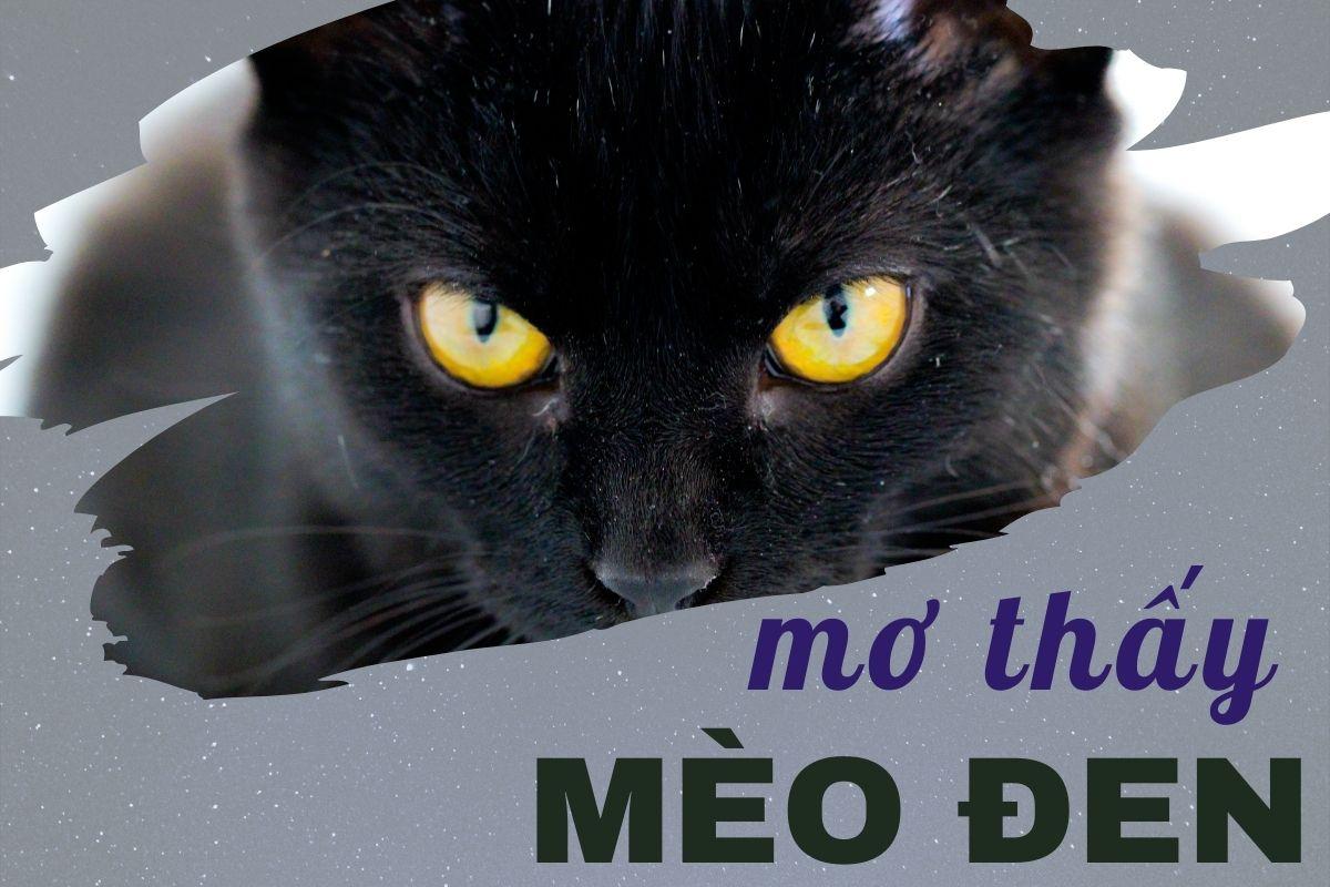 Nằm Mơ Thấy Người Ta Dê Đánh Số May