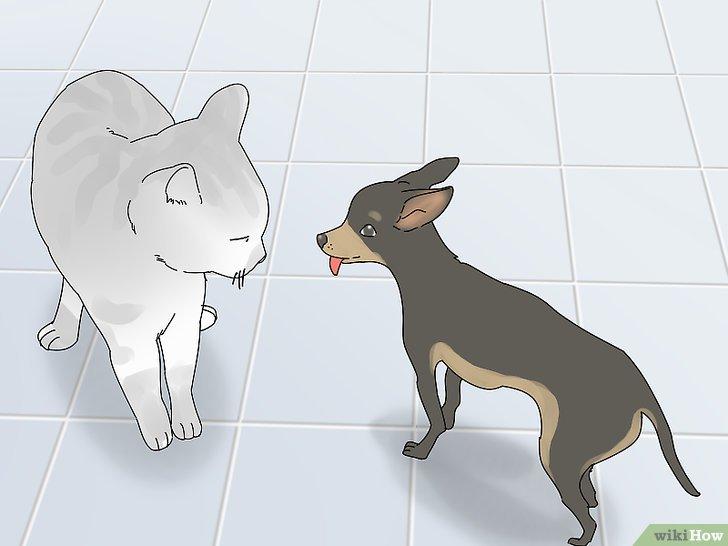 Nằm mơ thấy con gái mình đánh con gì?