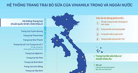 Mơ thấy đàn bò sữa trong đồng cỏ