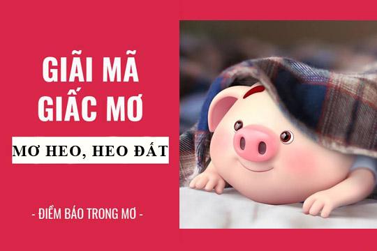 Nằm Mơ Thấy Rụng Hết Hàm Răng Đánh Con Gì?
