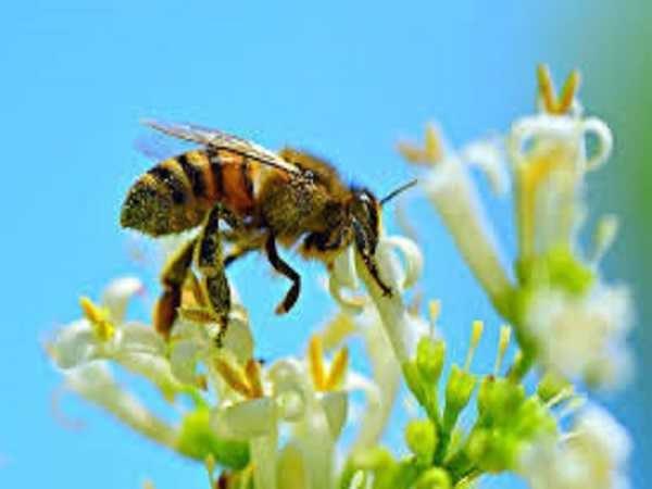 Giải Mã Giấc Mơ Thấy Buôn Bán Và Con Số May Mắn