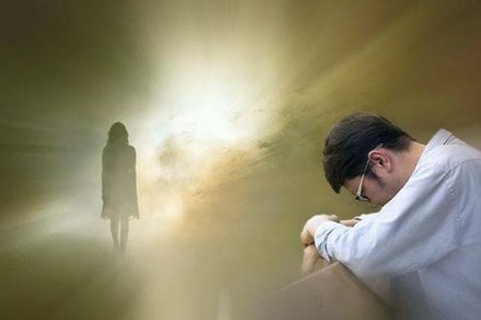 Nằm mơ thấy bò đẻ là điềm gì? Giải mã chi tiết