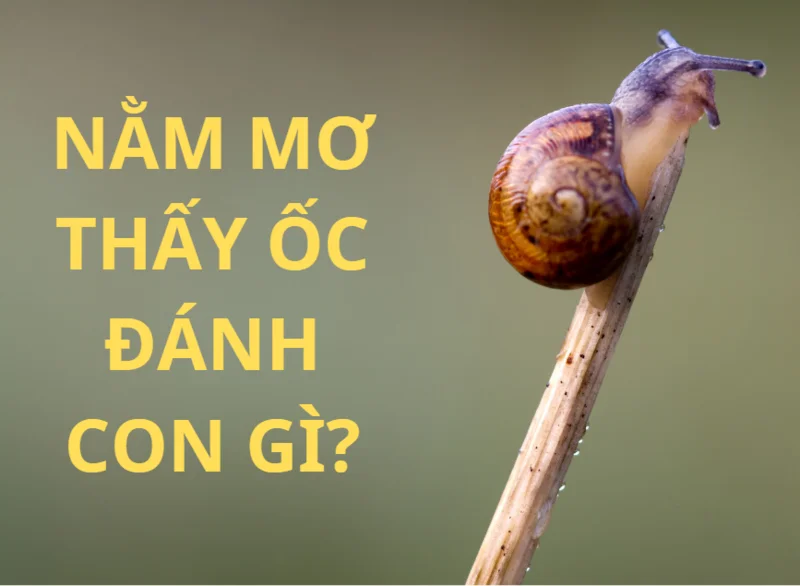 Nằm mơ thấy bắt ốc bươu nhiều