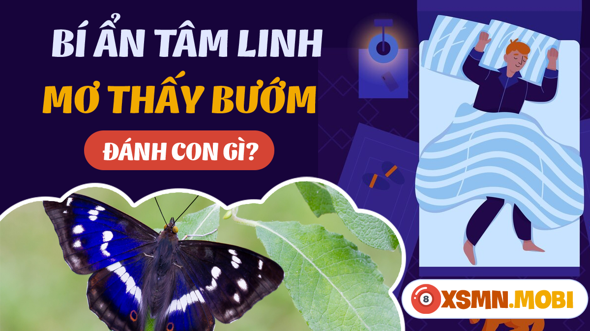Nằm mơ thấy bướm đánh số may mắn