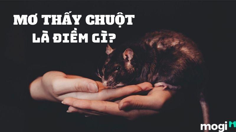 Nằm Mơ Thấy Lưỡi Câu Đánh Con Gì?