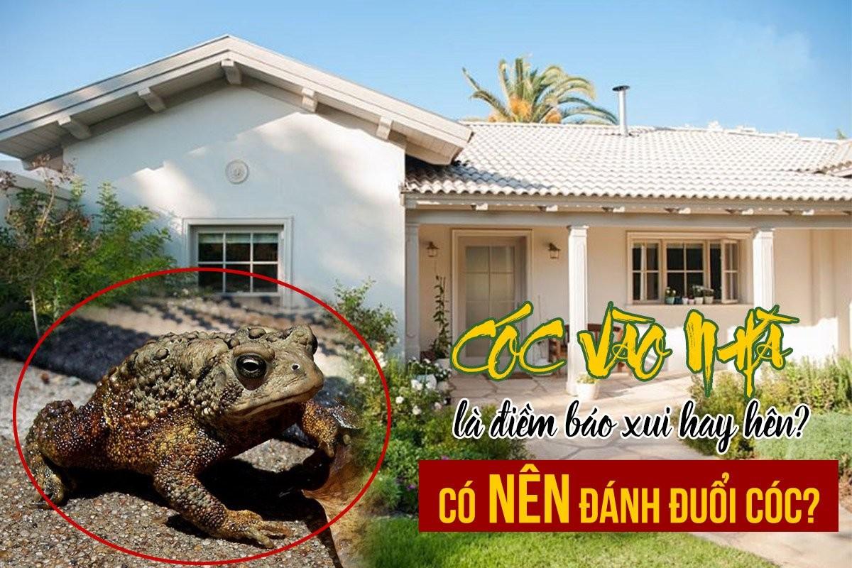 Giải Mã Giấc Mơ Thấy Hoa Hồng Đỏ Và Số Đề Liên Quan