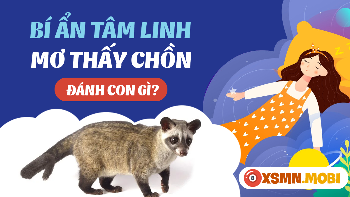 Giải Mã Giấc Mơ Thấy Hạ Huyệt: Điềm Báo Số Đề