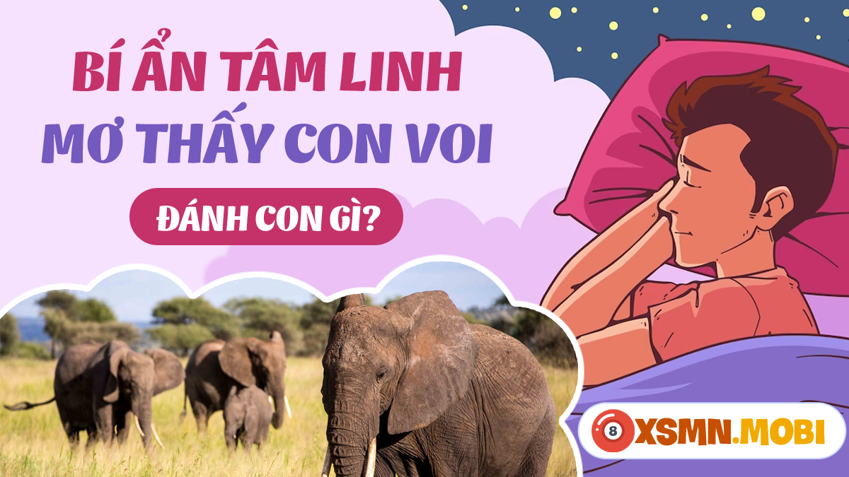 Giải Mã Giấc Mơ Thấy Chó Cắn Tay Và Con Số May Mắn