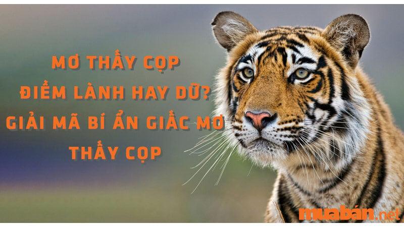 Nằm mơ thấy cọp trắng gầm thét