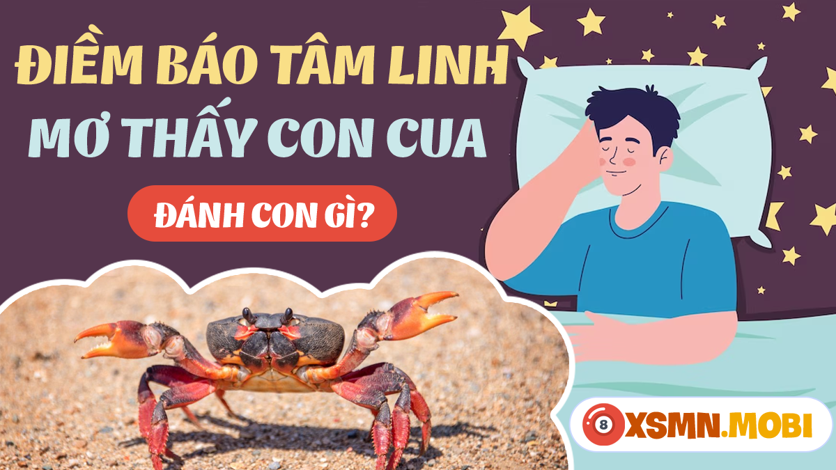 Nằm Mơ Thấy Bà Ngôi Mộ Đánh Con Gì?