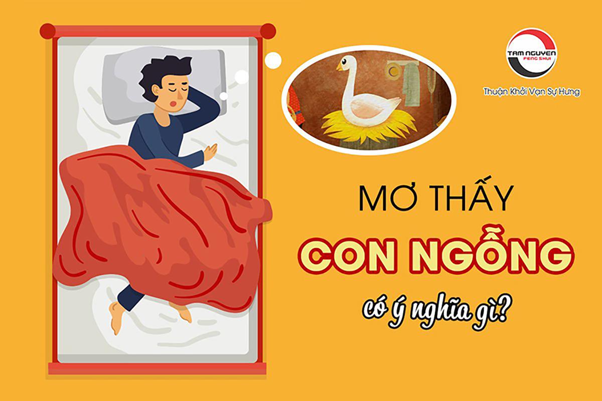 Nằm mơ thấy đàn ngỗng