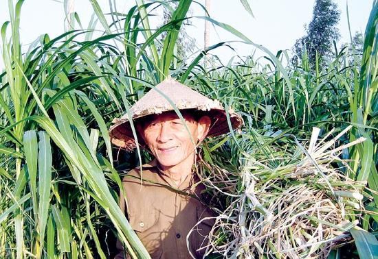 Giải Mã Giấc Mơ Thấy Bạn Học Cũ Thích Mình Và Con Số May Mắn